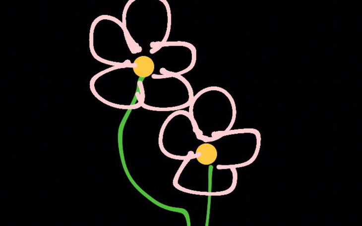 Zbiórka Potrzebne na przeżycie - zdjęcie główne