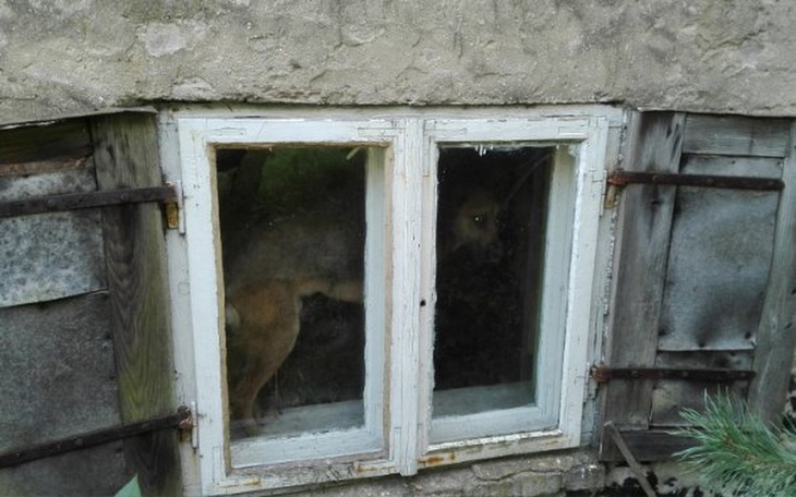 Zbiórka Leo - ROK w zamknięciu - zdjęcie główne