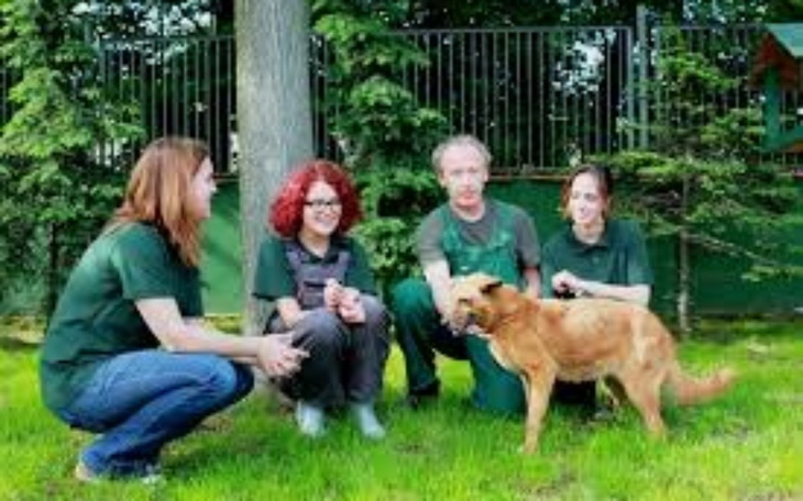 Zbiórka Na schronska dla psiaków - zdjęcie główne