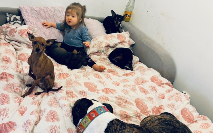 Zbiórka zrzutka dla zwierzaków - zdjęcie główne