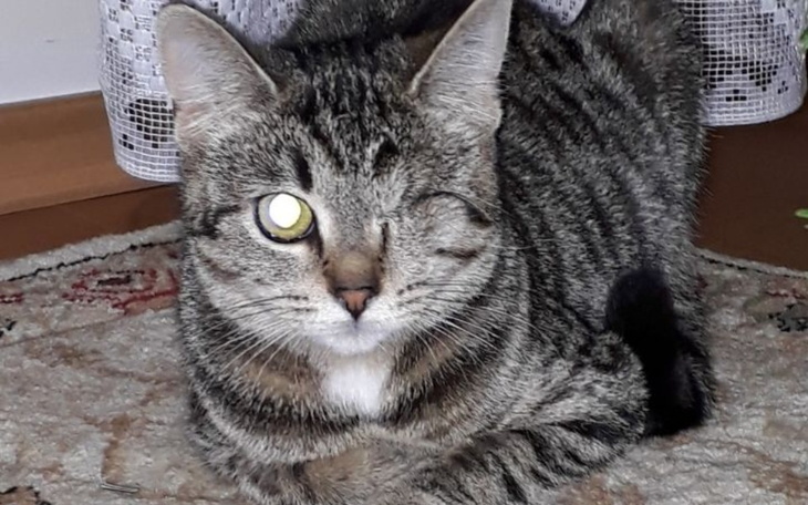 Zbiórka Pomoc dla Nelki. - zdjęcie główne