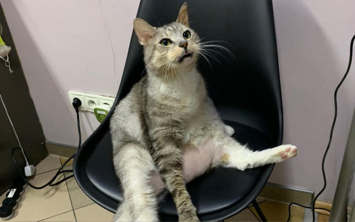 Zbiórka Wyrwać się śmierci po raz drugi - zdjęcie główne