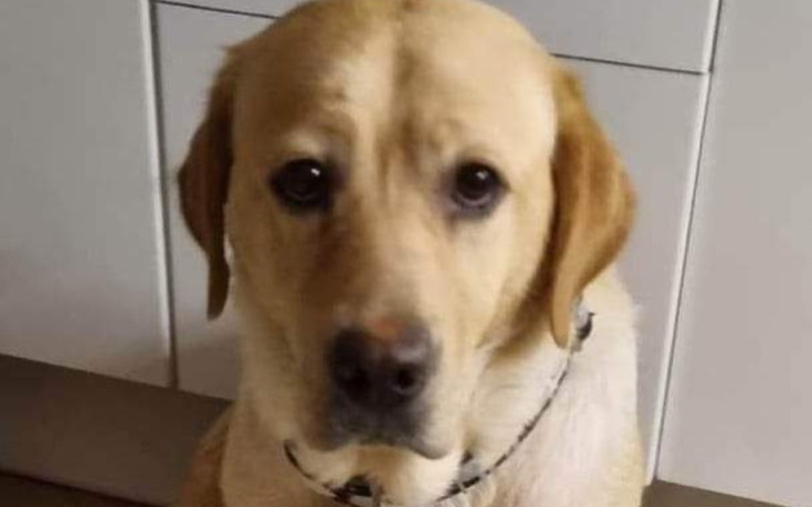 Zbiórka Mama Basia, prosi o wsparcie. - zdjęcie główne