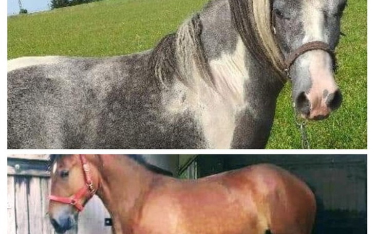 Zbiórka Strach przed zabiciem boimy się. - zdjęcie główne