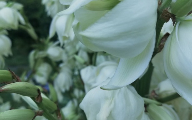 Zbiórka Opłata czynszu - zdjęcie główne