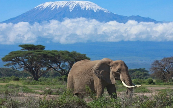 Zbiórka Wyprawa do Tanzanii - zdjęcie główne