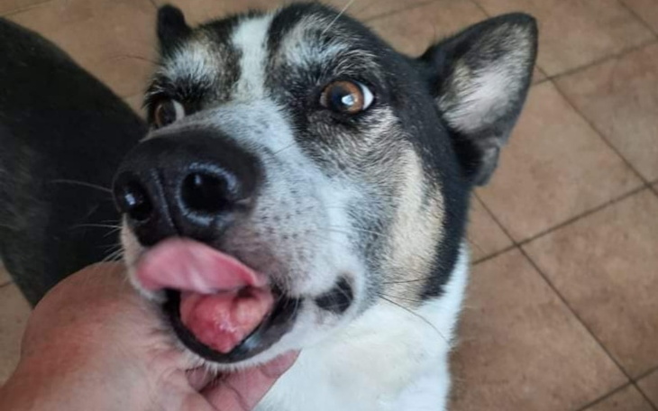 Zbiórka Tylko krew uratuje mu życie - zdjęcie główne