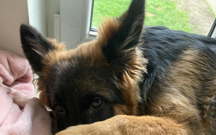 Zbiórka Zbiórka na operację Hadesa - zdjęcie główne