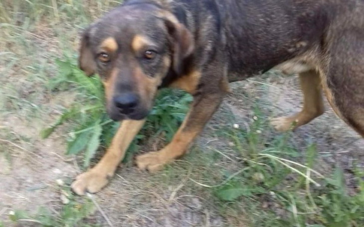 Zbiórka Borys - zdjęcie główne