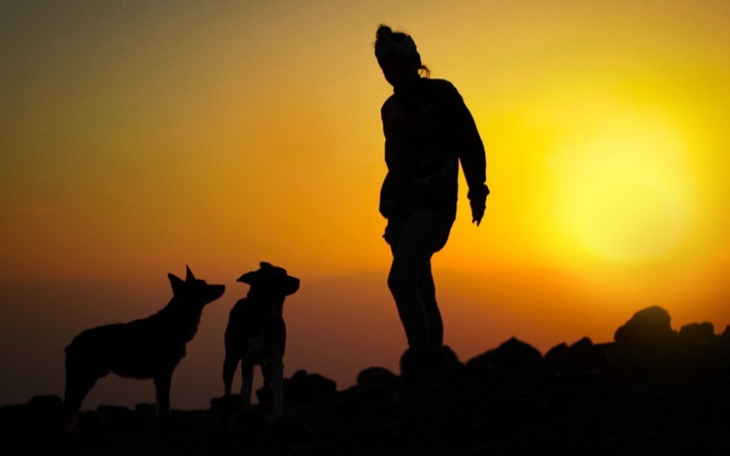 Zbiórka Wymarzony pies i warunki - zdjęcie główne