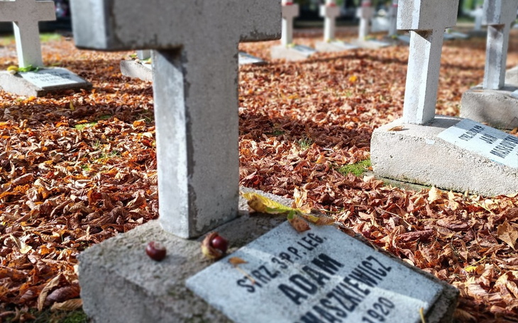 Zbiórka Jesienny liść 24 - zdjęcie główne