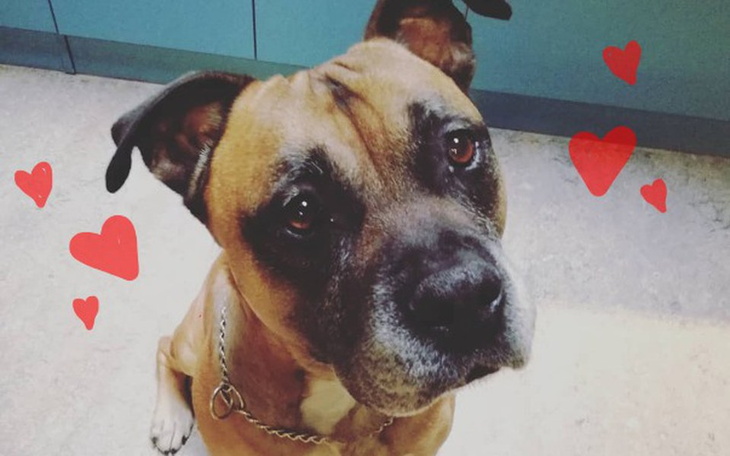 Zbiórka Leczenie Śliniaka - zdjęcie główne