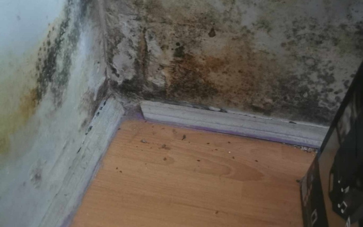 Mokre ściany z pleśnią w rogu pomieszczenia.