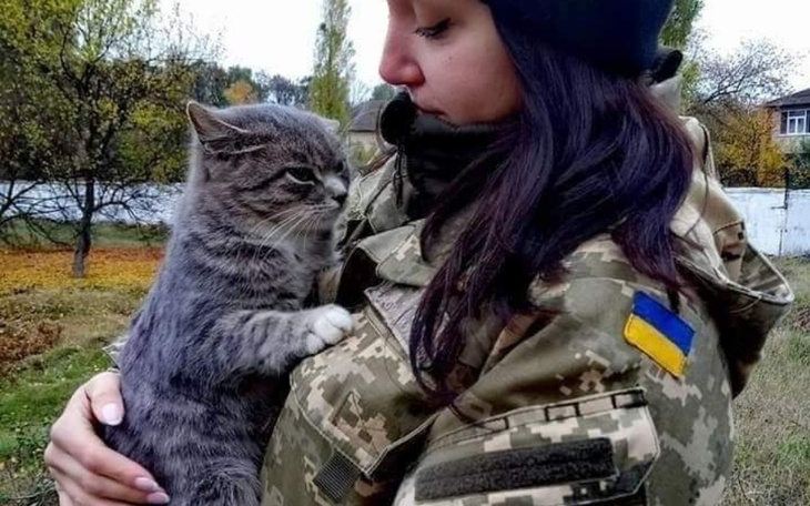 Zbiórka Zwierzęta Wojny - zdjęcie główne