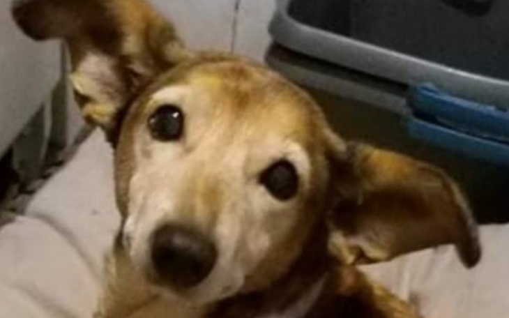 Zbiórka Za stare by żyć - zdjęcie główne