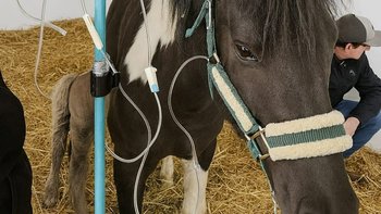 Zbiórka Ratuj mamę i córeczkę! - miniaturka zdjęcia