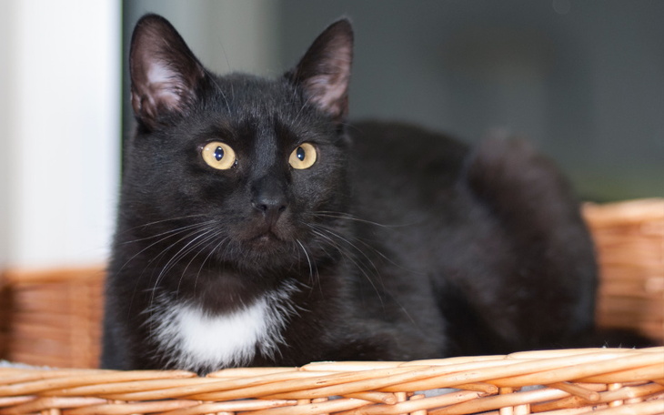 Zbiórka Mruczarnia marzec 2024 - zdjęcie główne