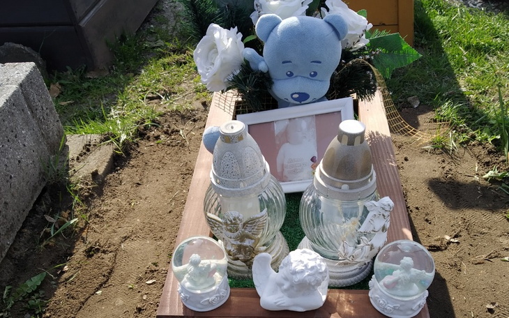 Zbiórka Na pomnik dla Paulinki - zdjęcie główne