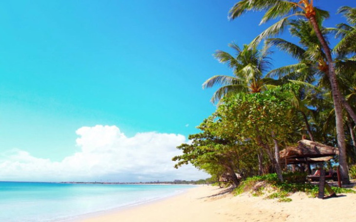 Zbiórka Pierwsza wycieczka zagraniczna - zdjęcie główne