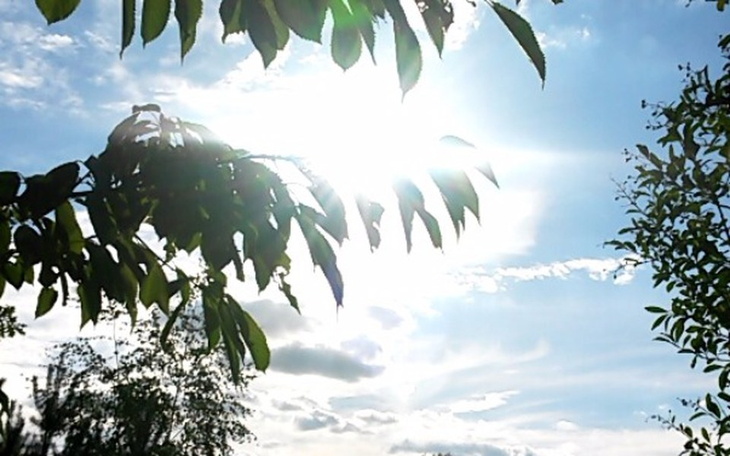 Zbiórka Na Leczenie Wulwodynii - zdjęcie główne