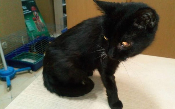 Zbiórka Babka - zdjęcie główne