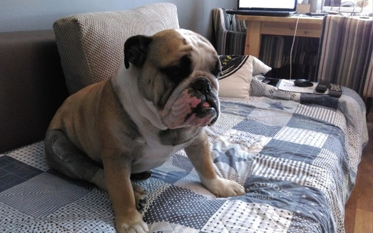 Zbiórka Rzepka Czesia - zdjęcie główne