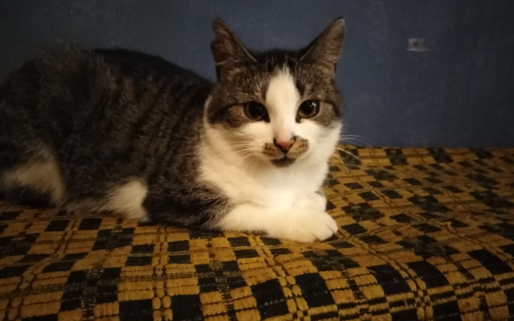 Zbiórka Urodziny Magdy - zdjęcie główne