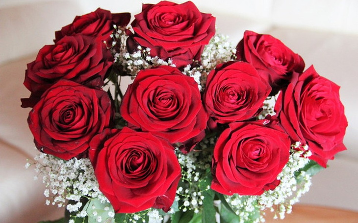 Zbiórka 123321123 - zdjęcie główne