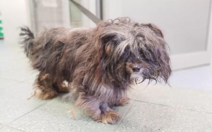 Zbiórka Wsparcie dla małej kruszynki - zdjęcie główne