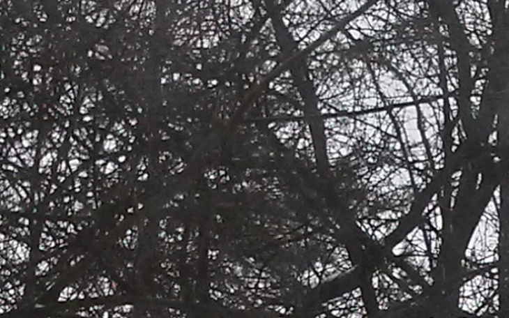 Zbiórka dziewczyna z domu dziecka - zdjęcie główne