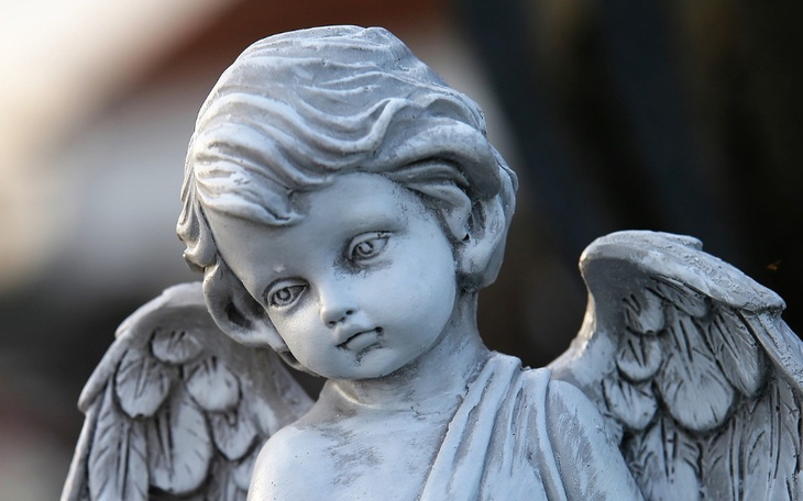 Zbiórka Na Pomnik dla Mojego Dziadka - zdjęcie główne