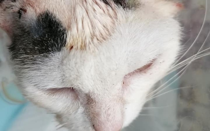 Zbiórka Na leczenie chorej Zuzi - zdjęcie główne