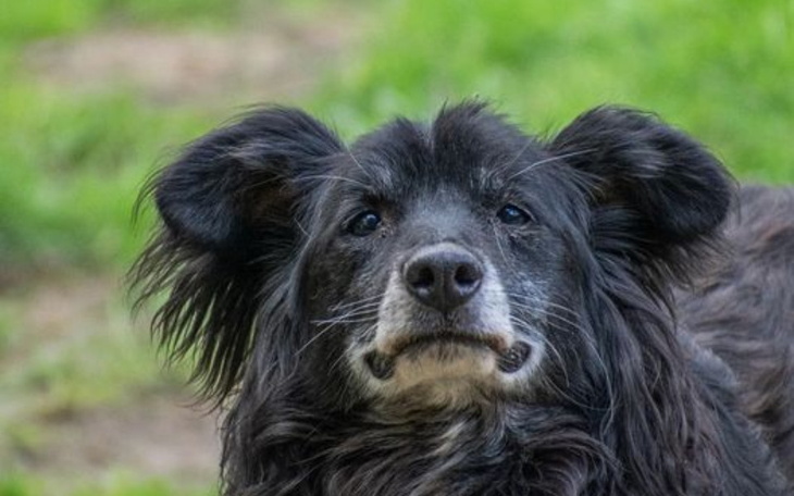 Zbiórka Chcemy przetrwać.. - zdjęcie główne