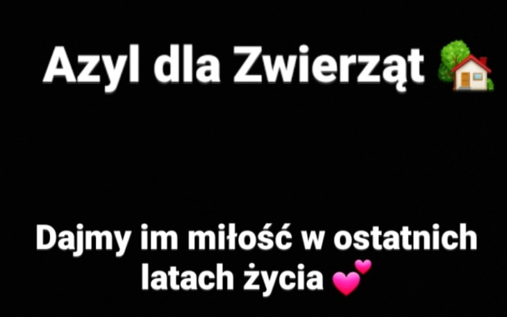 Zbiórka Miejsca na Azyl dla Zwierząt - zdjęcie główne