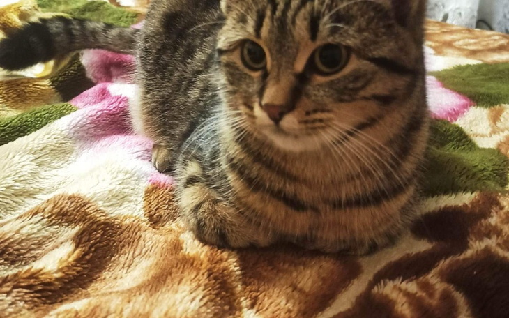 Zbiórka Pomoc dla malutki z Ukrainy - zdjęcie główne