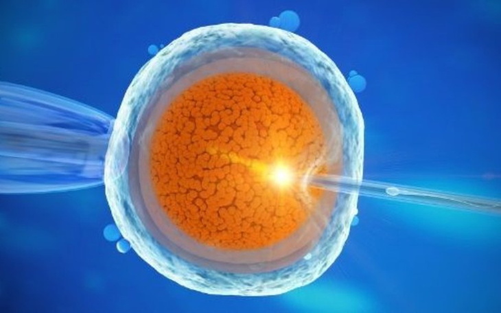 Zbiórka Spełnienie marzeń o dziecku - zdjęcie główne