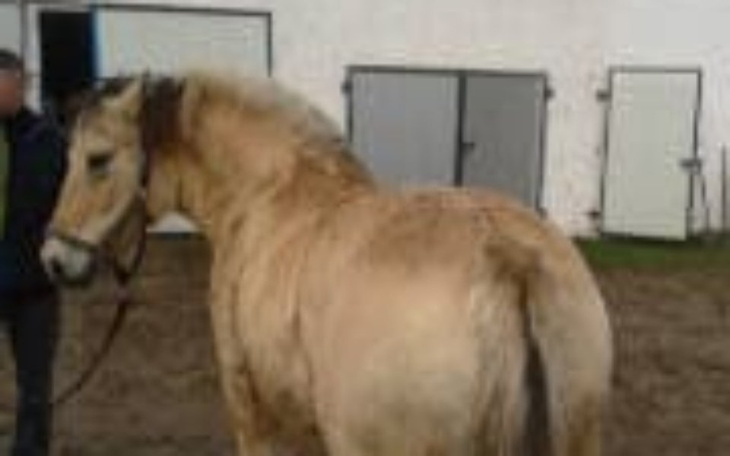 Zbiórka Żeby odzyskać życie - zdjęcie główne