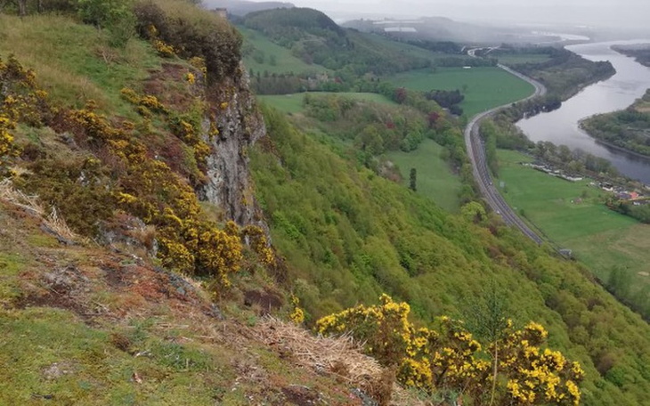 Zbiórka Potrzeba , bieda - zdjęcie główne