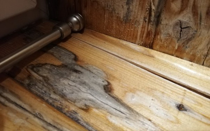 Zbiórka Remont - by ocalić zdrowie - zdjęcie główne