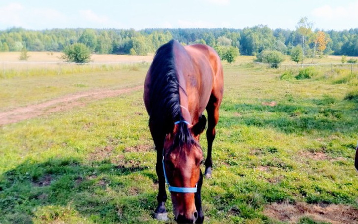Zbiórka Na start .... - zdjęcie główne