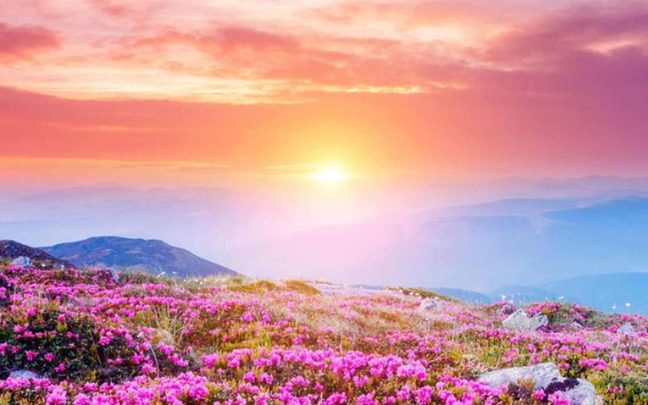 Zbiórka Na pomoc prawną - zdjęcie główne