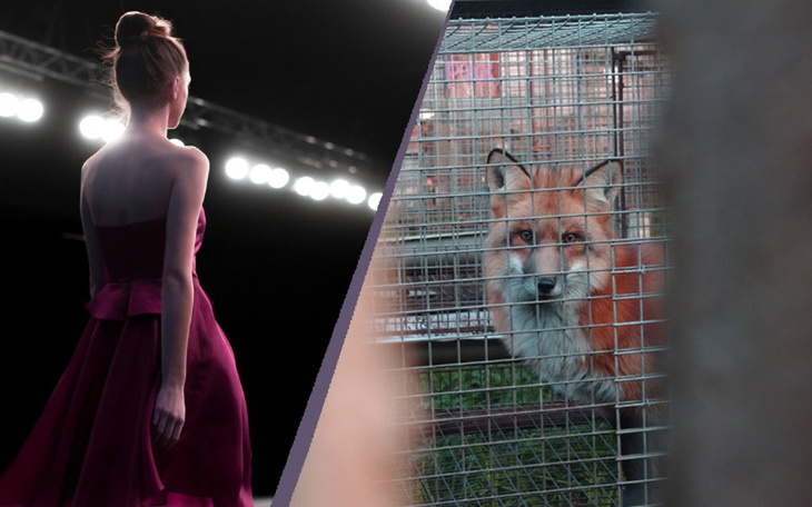 Zbiórka Pokaz mody #STOPFUTROM - zdjęcie główne