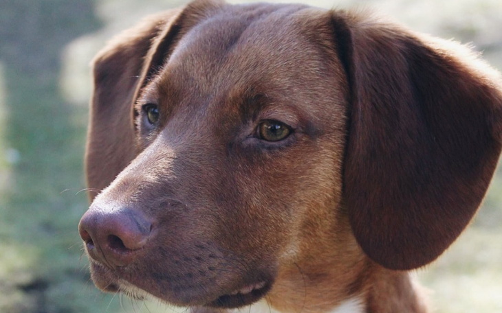 Zbiórka Na leczenie dla Hugo - zdjęcie główne