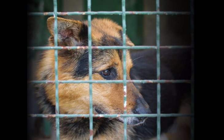 Zbiórka Gdzie jest (puszka dla) Nemo? - zdjęcie główne
