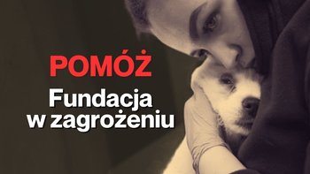 Zbiórka Pomóż - Fundacja w zagrożeniu - miniaturka zdjęcia