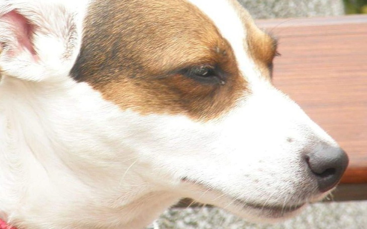 Zbiórka pomusz mi - zdjęcie główne