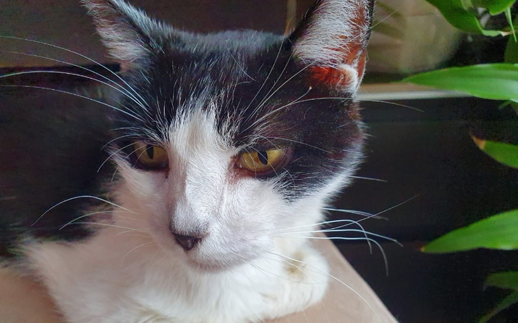 Zbiórka Na walkę Ałusia z chorobą - zdjęcie główne