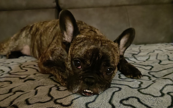 Zbiórka Operacja nowotwór złośliwy - zdjęcie główne