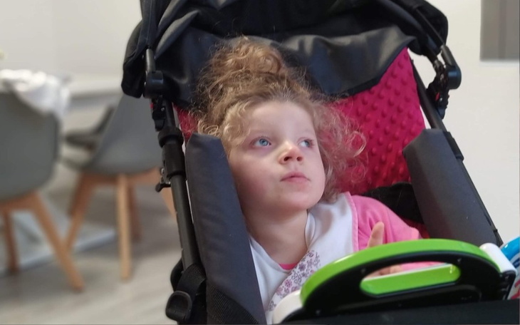 Zbiórka Pomoc dla Pszczółki Mai - zdjęcie główne