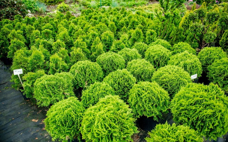 Zbiórka lepszy start dla mnie - zdjęcie główne